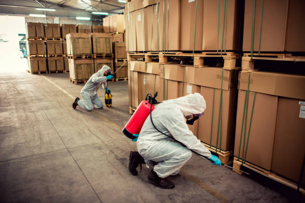 Best Cockroach Control Services  in Walton Hills, OH