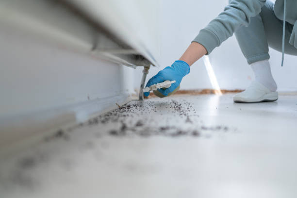 Best Residential Pest Control  in Walton Hills, OH